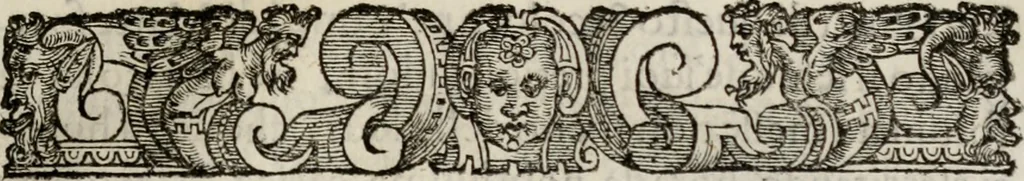 An illustration from Le glorie de gli incogniti : O vero gli hvomini illvstri della̓ccademia de ̓signori incogniti di venetia, 1647, leaf 336
