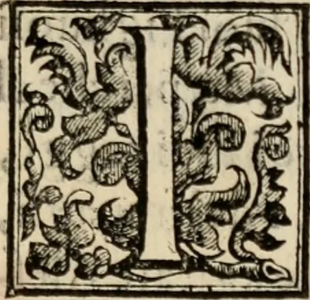 An illustration from Le glorie de gli incogniti : O vero gli hvomini illvstri della̓ccademia de ̓signori incogniti di venetia, 1647, leaf 34