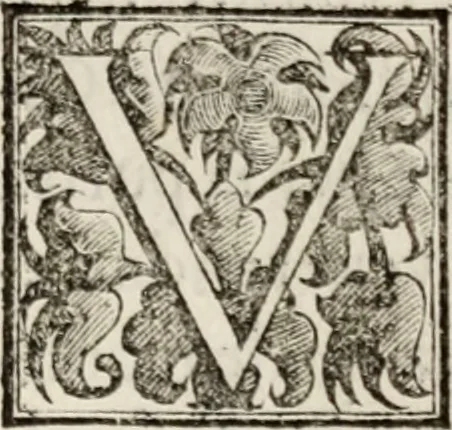An illustration from Le glorie de gli incogniti : O vero gli hvomini illvstri della̓ccademia de ̓signori incogniti di venetia, 1647, leaf 344
