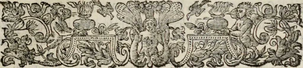 An illustration from Le glorie de gli incogniti : O vero gli hvomini illvstri della̓ccademia de ̓signori incogniti di venetia, 1647, leaf 348