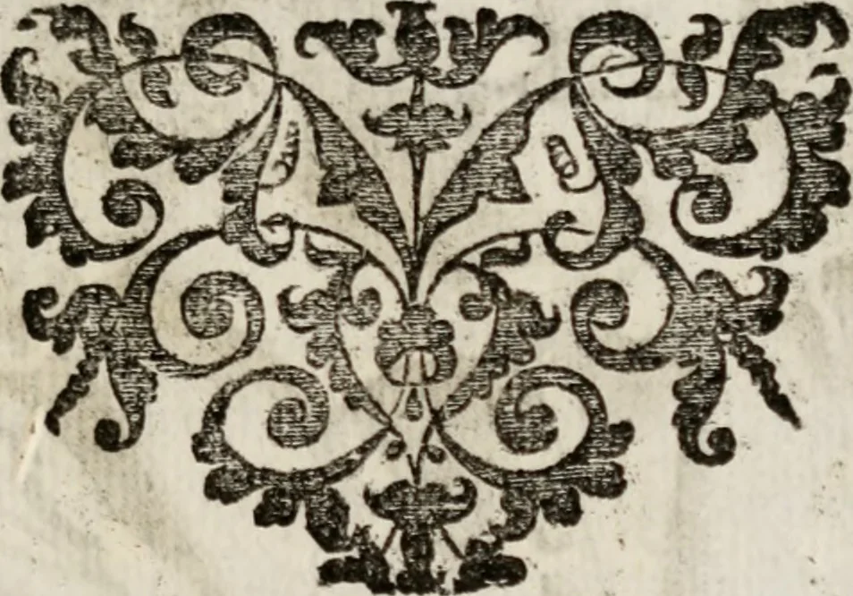 An illustration from Le glorie de gli incogniti : O vero gli hvomini illvstri della̓ccademia de ̓signori incogniti di venetia, 1647, leaf 350