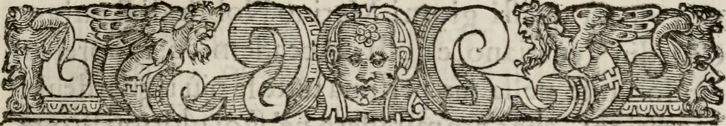 An illustration from Le glorie de gli incogniti : O vero gli hvomini illvstri della̓ccademia de ̓signori incogniti di venetia, 1647, leaf 352