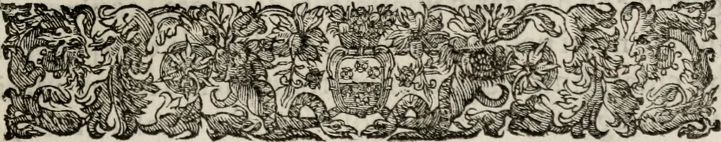 An illustration from Le glorie de gli incogniti : O vero gli hvomini illvstri della̓ccademia de ̓signori incogniti di venetia, 1647, leaf 356