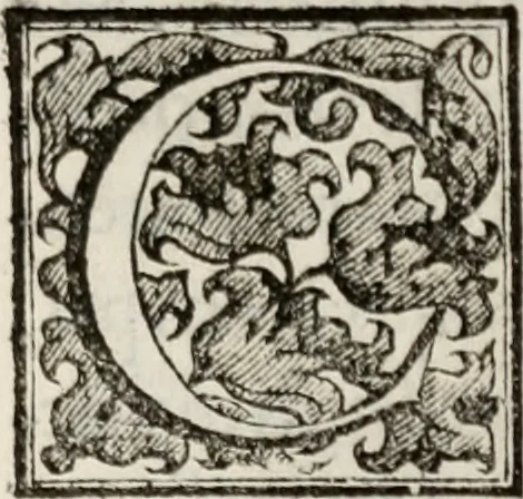 An illustration from Le glorie de gli incogniti : O vero gli hvomini illvstri della̓ccademia de ̓signori incogniti di venetia, 1647, leaf 356