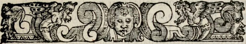An illustration from Le glorie de gli incogniti : O vero gli hvomini illvstri della̓ccademia de ̓signori incogniti di venetia, 1647, leaf 364