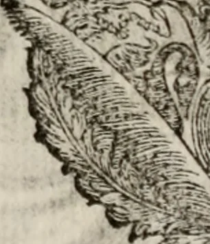 An illustration from Le glorie de gli incogniti : O vero gli hvomini illvstri della̓ccademia de ̓signori incogniti di venetia, 1647, leaf 366