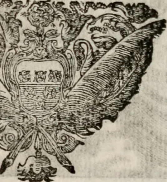 An illustration from Le glorie de gli incogniti : O vero gli hvomini illvstri della̓ccademia de ̓signori incogniti di venetia, 1647, leaf 366