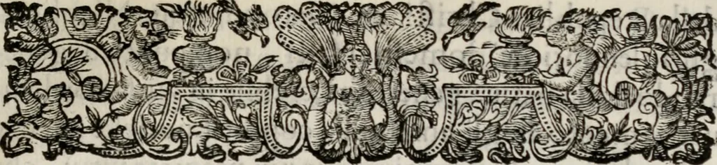 An illustration from Le glorie de gli incogniti : O vero gli hvomini illvstri della̓ccademia de ̓signori incogniti di venetia, 1647, leaf 368