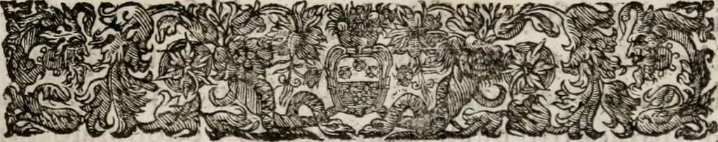 An illustration from Le glorie de gli incogniti : O vero gli hvomini illvstri della̓ccademia de ̓signori incogniti di venetia, 1647, leaf 376