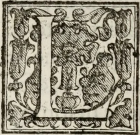 An illustration from Le glorie de gli incogniti : O vero gli hvomini illvstri della̓ccademia de ̓signori incogniti di venetia, 1647, leaf 376