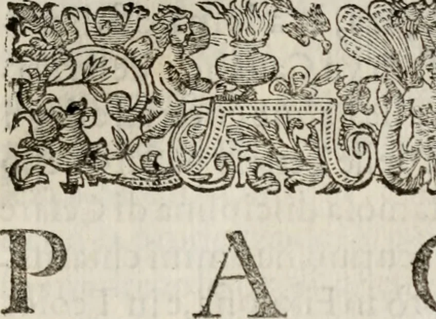 An illustration from Le glorie de gli incogniti : O vero gli hvomini illvstri della̓ccademia de ̓signori incogniti di venetia, 1647, leaf 380