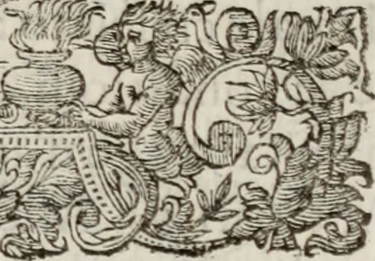 An illustration from Le glorie de gli incogniti : O vero gli hvomini illvstri della̓ccademia de ̓signori incogniti di venetia, 1647, leaf 380