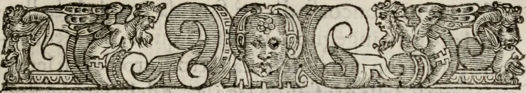 An illustration from Le glorie de gli incogniti : O vero gli hvomini illvstri della̓ccademia de ̓signori incogniti di venetia, 1647, leaf 384