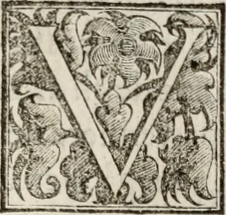 An illustration from Le glorie de gli incogniti : O vero gli hvomini illvstri della̓ccademia de ̓signori incogniti di venetia, 1647, leaf 384