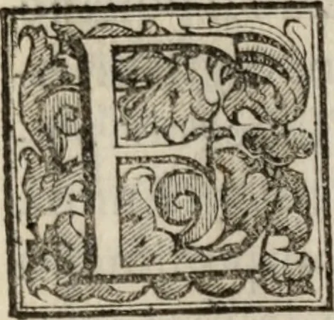 An illustration from Le glorie de gli incogniti : O vero gli hvomini illvstri della̓ccademia de ̓signori incogniti di venetia, 1647, leaf 392