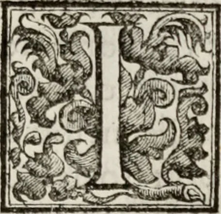 An illustration from Le glorie de gli incogniti : O vero gli hvomini illvstri della̓ccademia de ̓signori incogniti di venetia, 1647, leaf 396