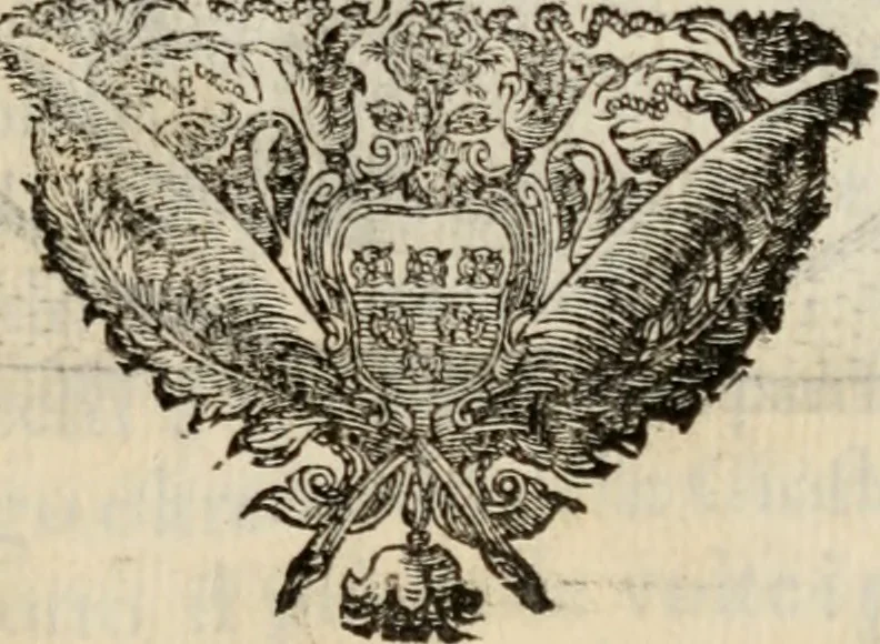 An illustration from Le glorie de gli incogniti : O vero gli hvomini illvstri della̓ccademia de ̓signori incogniti di venetia, 1647, leaf 40