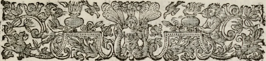 An illustration from Le glorie de gli incogniti : O vero gli hvomini illvstri della̓ccademia de ̓signori incogniti di venetia, 1647, leaf 400