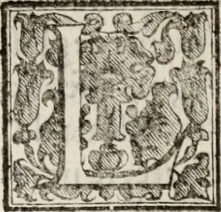 An illustration from Le glorie de gli incogniti : O vero gli hvomini illvstri della̓ccademia de ̓signori incogniti di venetia, 1647, leaf 404