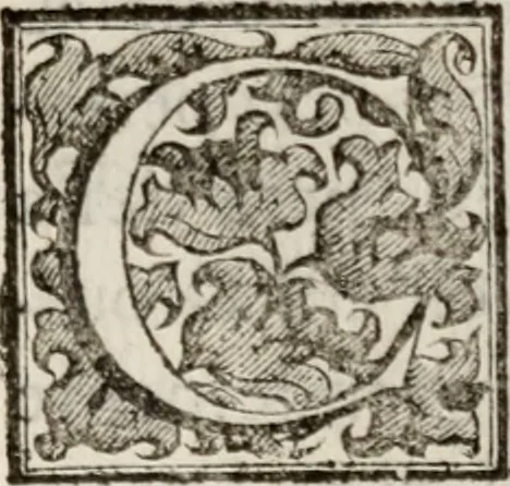 An illustration from Le glorie de gli incogniti : O vero gli hvomini illvstri della̓ccademia de ̓signori incogniti di venetia, 1647, leaf 408