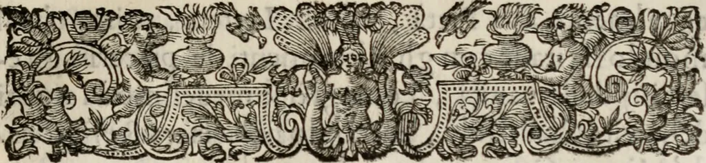 An illustration from Le glorie de gli incogniti : O vero gli hvomini illvstri della̓ccademia de ̓signori incogniti di venetia, 1647, leaf 412
