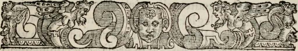 An illustration from Le glorie de gli incogniti : O vero gli hvomini illvstri della̓ccademia de ̓signori incogniti di venetia, 1647, leaf 416
