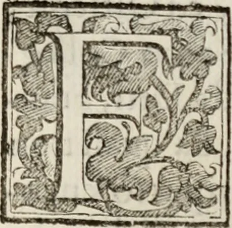 An illustration from Le glorie de gli incogniti : O vero gli hvomini illvstri della̓ccademia de ̓signori incogniti di venetia, 1647, leaf 424