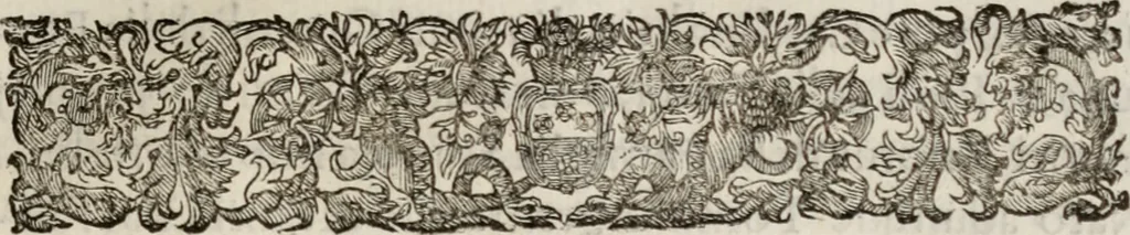 An illustration from Le glorie de gli incogniti : O vero gli hvomini illvstri della̓ccademia de ̓signori incogniti di venetia, 1647, leaf 432