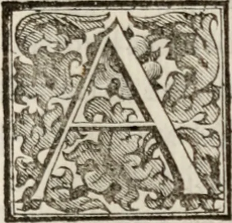 An illustration from Le glorie de gli incogniti : O vero gli hvomini illvstri della̓ccademia de ̓signori incogniti di venetia, 1647, leaf 432