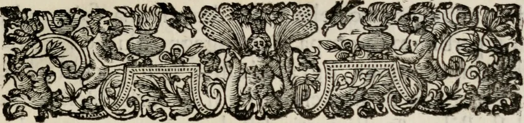 An illustration from Le glorie de gli incogniti : O vero gli hvomini illvstri della̓ccademia de ̓signori incogniti di venetia, 1647, leaf 436
