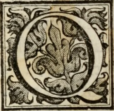 An illustration from Le glorie de gli incogniti : O vero gli hvomini illvstri della̓ccademia de ̓signori incogniti di venetia, 1647, leaf 448