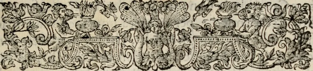 An illustration from Le glorie de gli incogniti : O vero gli hvomini illvstri della̓ccademia de ̓signori incogniti di venetia, 1647, leaf 46