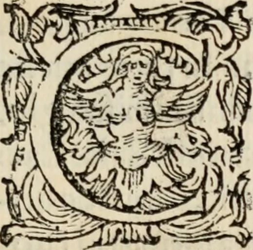 An illustration from Le glorie de gli incogniti : O vero gli hvomini illvstri della̓ccademia de ̓signori incogniti di venetia, 1647, leaf 46