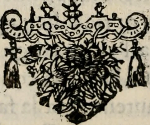 An illustration from Le glorie de gli incogniti : O vero gli hvomini illvstri della̓ccademia de ̓signori incogniti di venetia, 1647, leaf 49