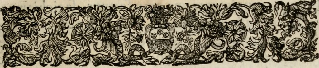 An illustration from Le glorie de gli incogniti : O vero gli hvomini illvstri della̓ccademia de ̓signori incogniti di venetia, 1647, leaf 52