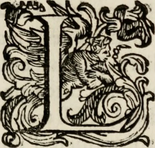 An illustration from Le glorie de gli incogniti : O vero gli hvomini illvstri della̓ccademia de ̓signori incogniti di venetia, 1647, leaf 70