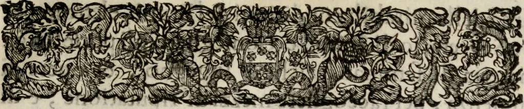 An illustration from Le glorie de gli incogniti : O vero gli hvomini illvstri della̓ccademia de ̓signori incogniti di venetia, 1647, leaf 74