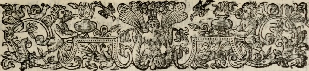 An illustration from Le glorie de gli incogniti : O vero gli hvomini illvstri della̓ccademia de ̓signori incogniti di venetia, 1647, leaf 78