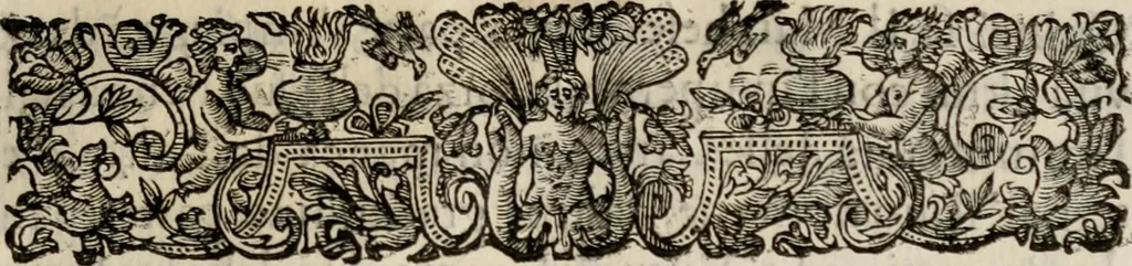 An illustration from Le glorie de gli incogniti : O vero gli hvomini illvstri della̓ccademia de ̓signori incogniti di venetia, 1647, leaf 86