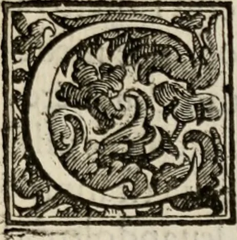 An illustration from Le glorie de gli incogniti : O vero gli hvomini illvstri della̓ccademia de ̓signori incogniti di venetia, 1647, leaf 90