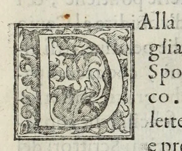 An illustration from Le glorie de gli Incogniti : o vero gli huomini illustri dell'Accademia de' signori incogniti de Venetia, 1647, leaf 101