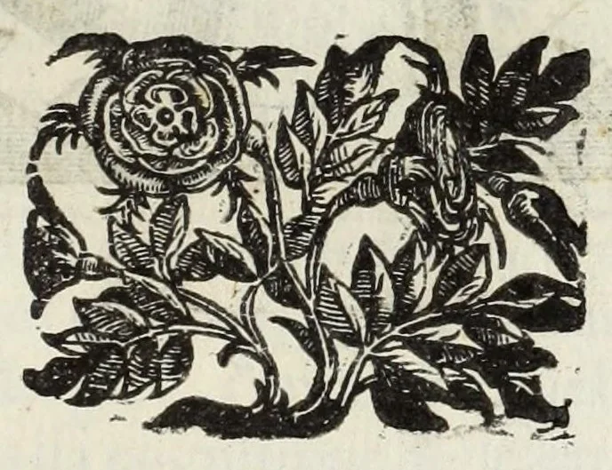 An illustration from Le glorie de gli Incogniti : o vero gli huomini illustri dell'Accademia de' signori incogniti de Venetia, 1647, leaf 107