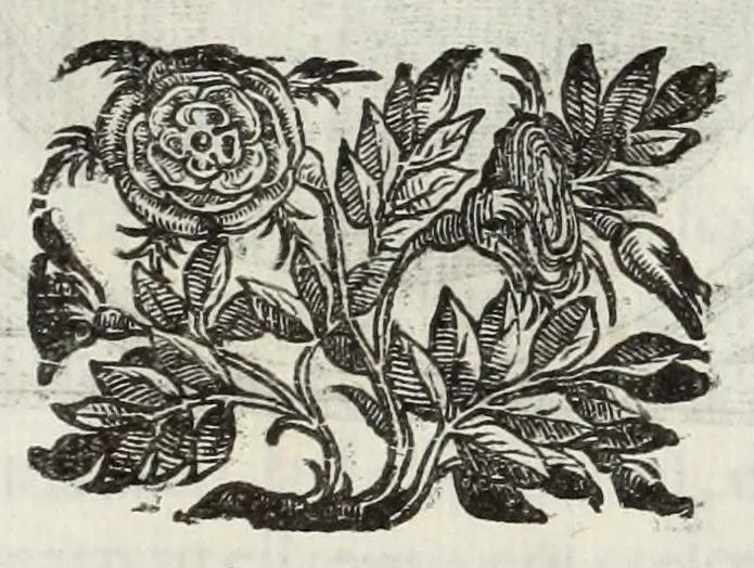 An illustration from Le glorie de gli Incogniti : o vero gli huomini illustri dell'Accademia de' signori incogniti de Venetia, 1647, leaf 119
