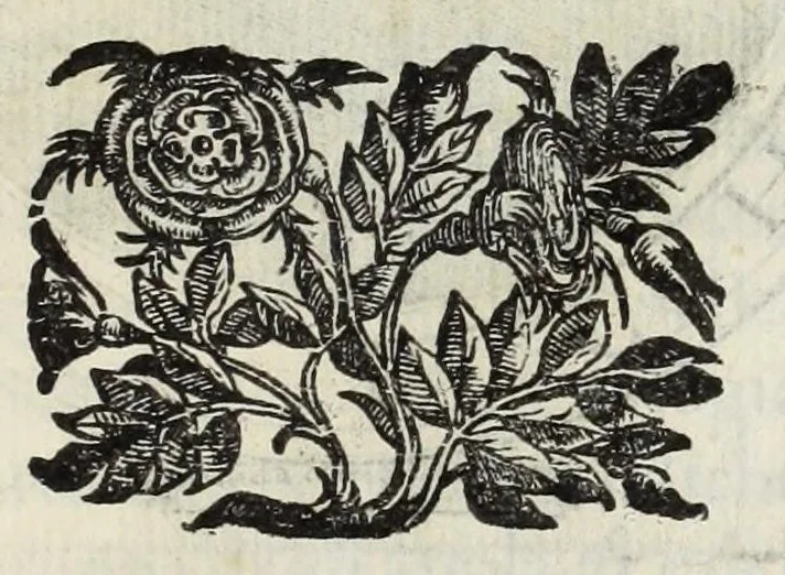 An illustration from Le glorie de gli Incogniti : o vero gli huomini illustri dell'Accademia de' signori incogniti de Venetia, 1647, leaf 127