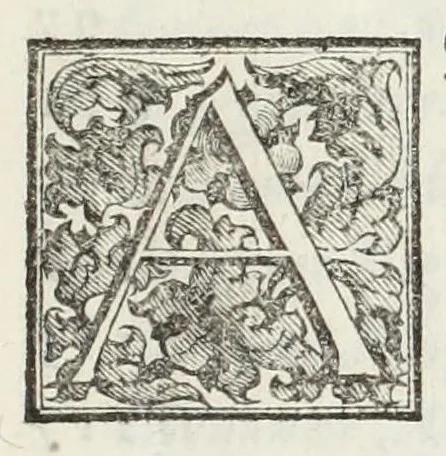 An illustration from Le glorie de gli Incogniti : o vero gli huomini illustri dell'Accademia de' signori incogniti de Venetia, 1647, leaf 13