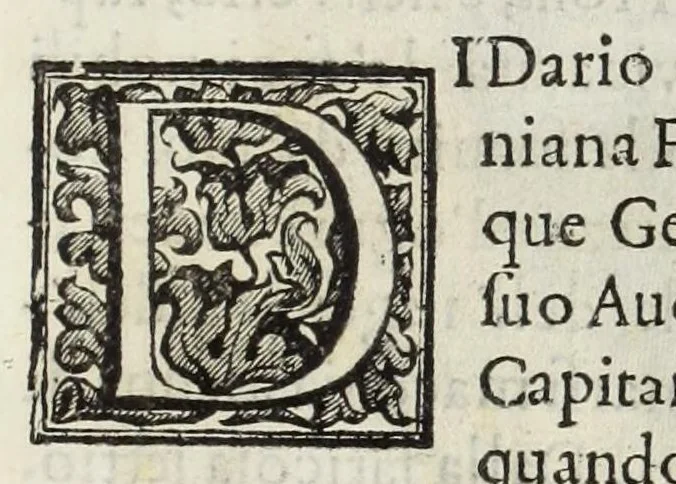 An illustration from Le glorie de gli Incogniti : o vero gli huomini illustri dell'Accademia de' signori incogniti de Venetia, 1647, leaf 197