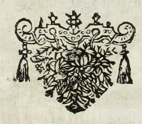 An illustration from Le glorie de gli Incogniti : o vero gli huomini illustri dell'Accademia de' signori incogniti de Venetia, 1647, leaf 203