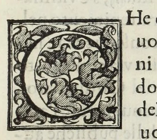 An illustration from Le glorie de gli Incogniti : o vero gli huomini illustri dell'Accademia de' signori incogniti de Venetia, 1647, leaf 213