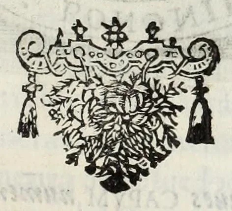 An illustration from Le glorie de gli Incogniti : o vero gli huomini illustri dell'Accademia de' signori incogniti de Venetia, 1647, leaf 235