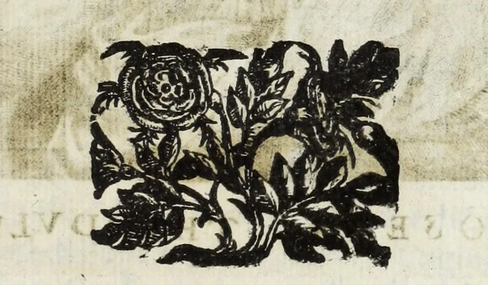 An illustration from Le glorie de gli Incogniti : o vero gli huomini illustri dell'Accademia de' signori incogniti de Venetia, 1647, leaf 307